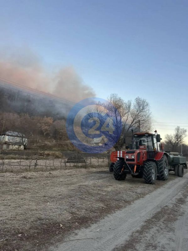 В селе Лох пятый день горит лес на территории памятника природы В селе Лох пятый день горит лес на территории памятника природы