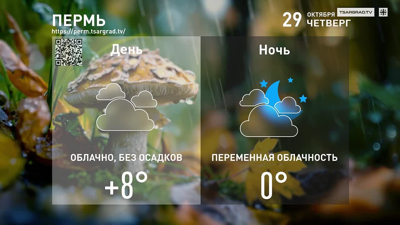 Внесли дрова с мороза,.
У печки положили