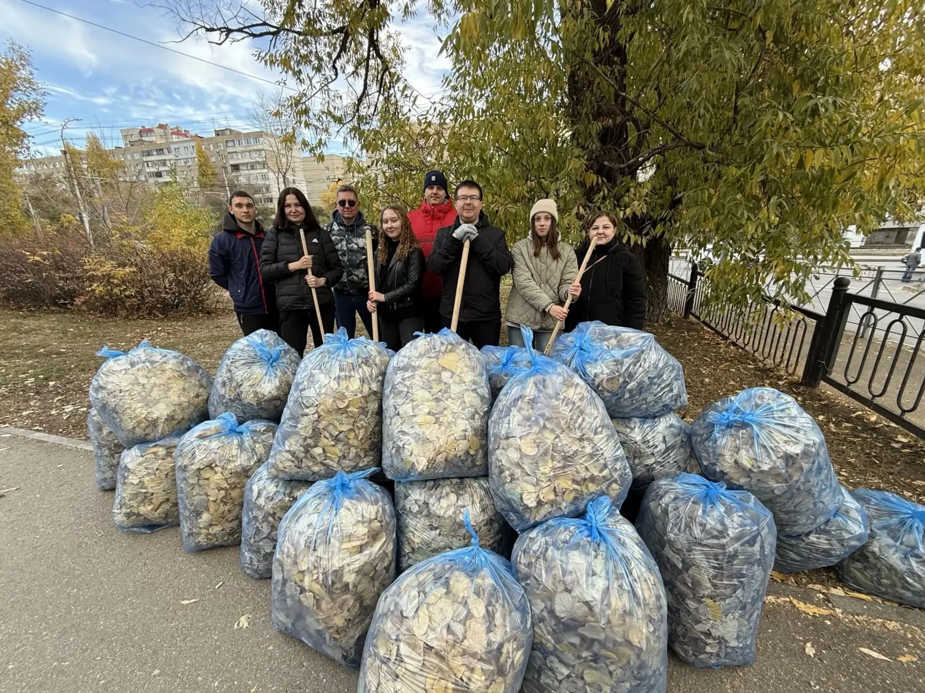 Листья желтые над городом кружатся…