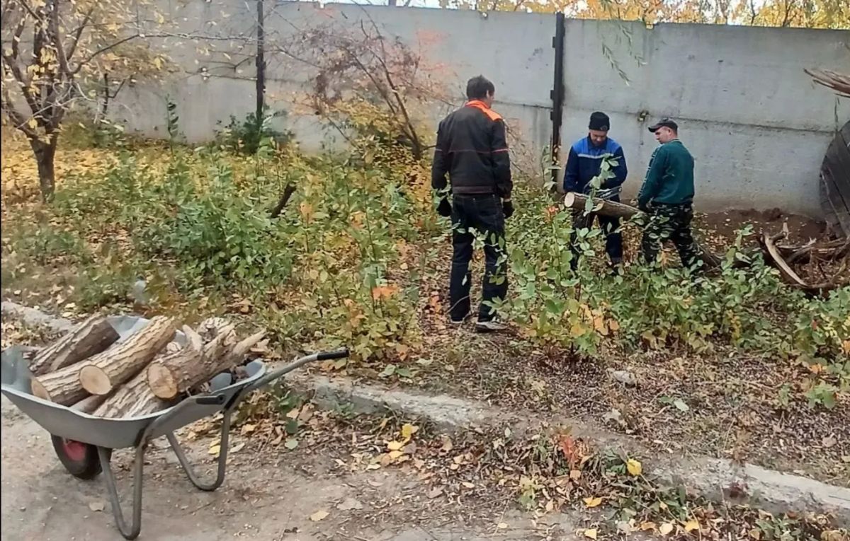 Осенний день — чистый город! Осенний день — чистый город!