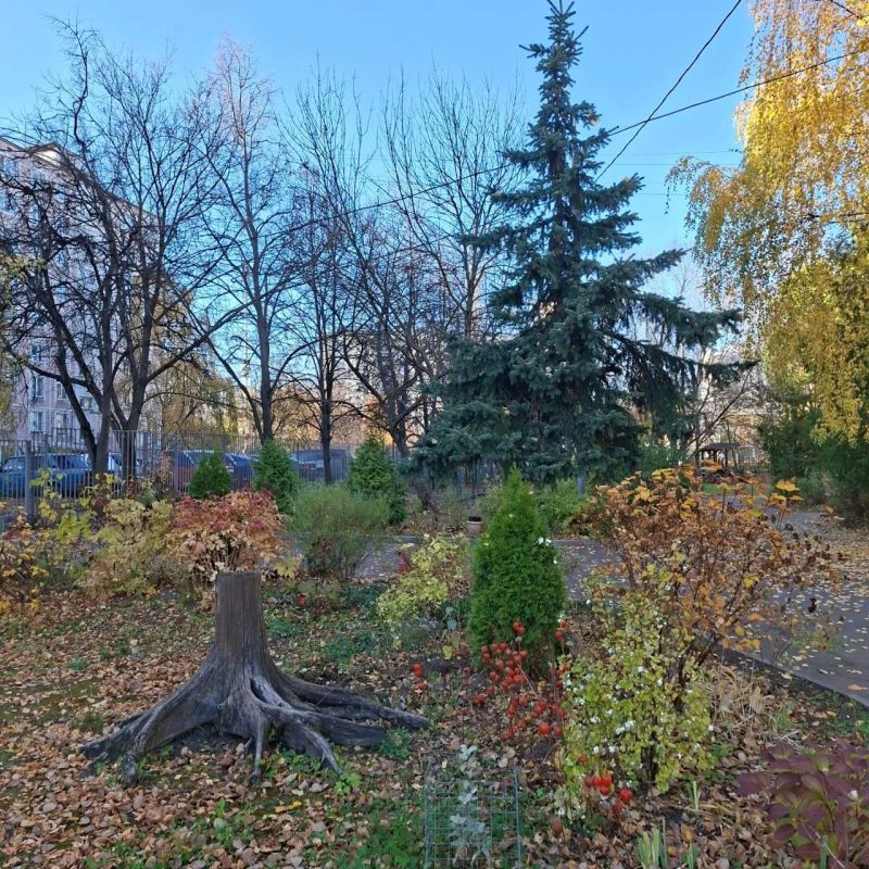 Прогноз погоды на 1 ноября в Саратовской области Прогноз погоды на 1 ноября в Саратовской области