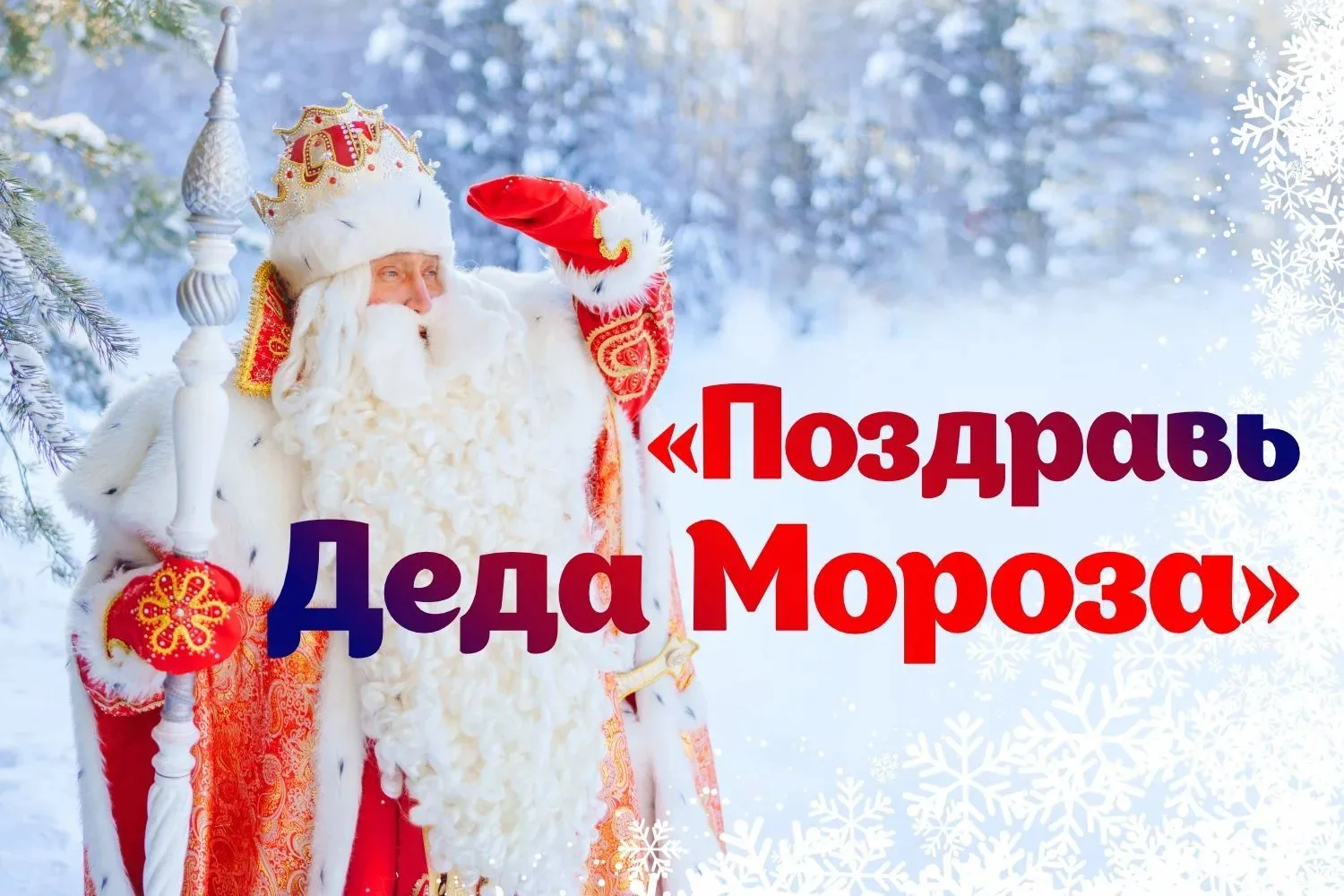 Юные саратовцы могут поздравить Деда Мороза