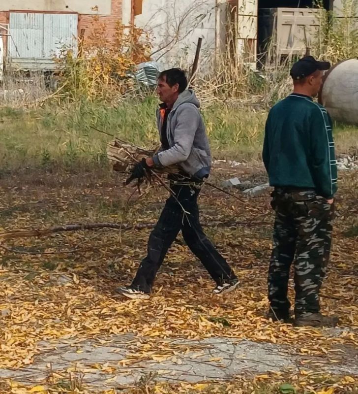 Осенний день — чистый город! Осенний день — чистый город!