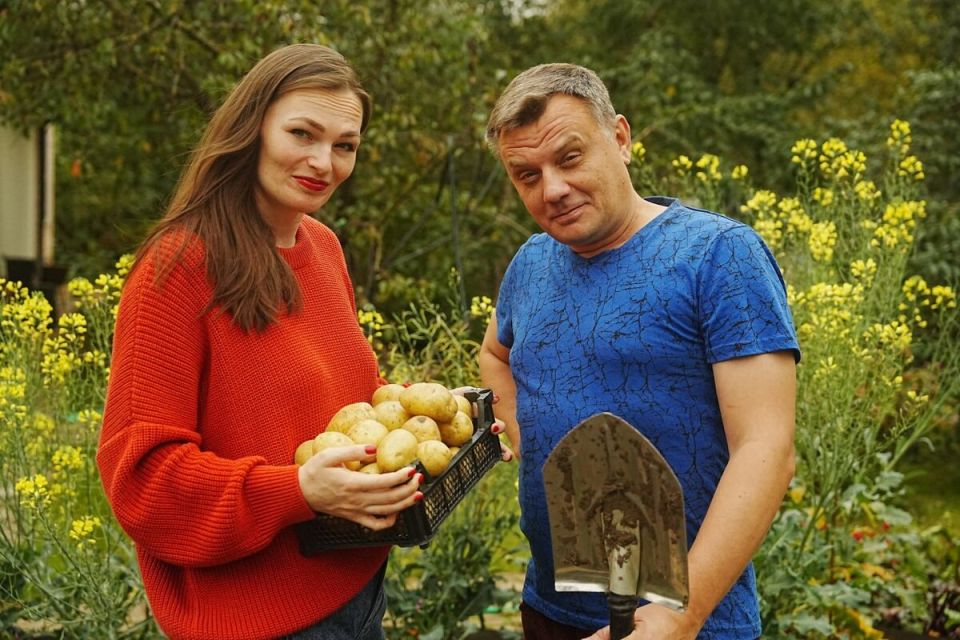 Как эффективно обрабатывать дачный участок без лишних усилий