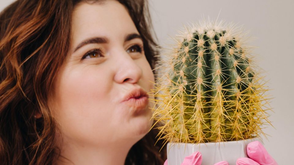 Кактус вам не простит: эти ошибки не оставят растению шансов на жизнь