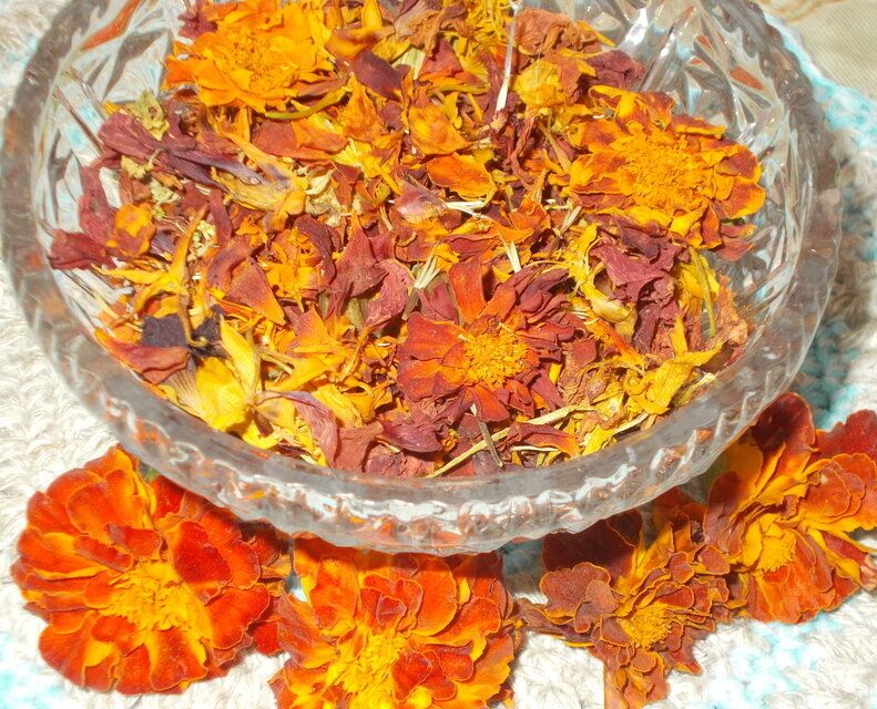 Полезные цветы: как бархатцы, настурция и календула могут поддержать ваше здоровье