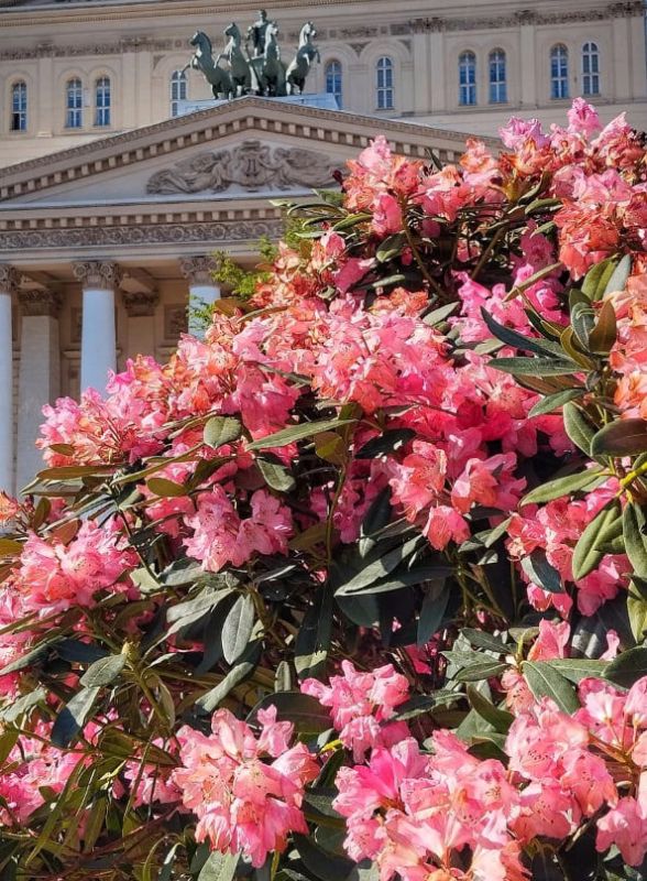 Ключевые моменты экскурсионного дня: как провести время в Москве