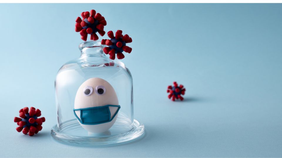 Как защититься от клеветы: пошаговое руководство