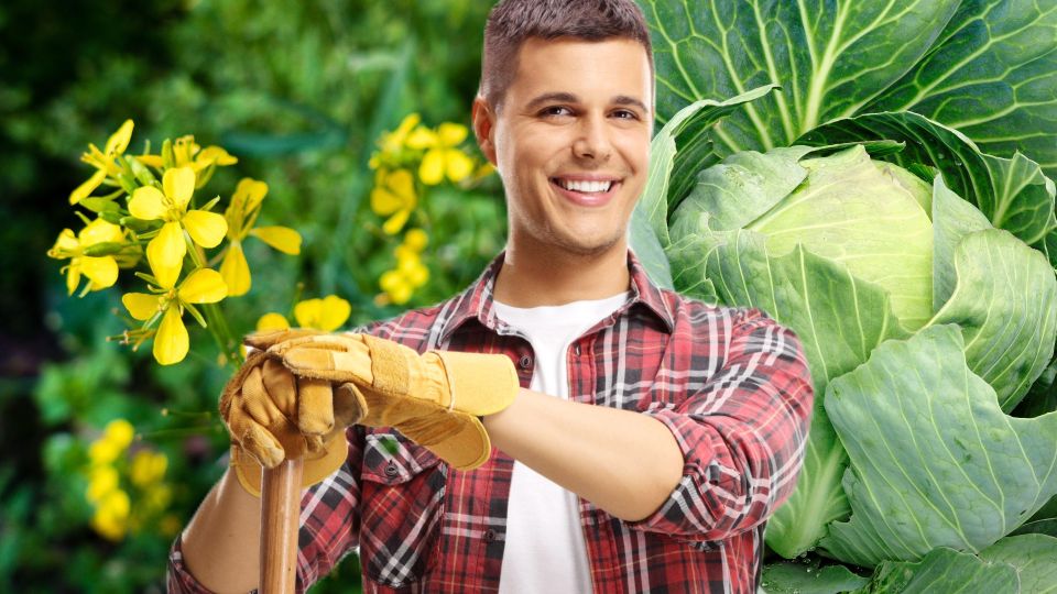 Даже опытные дачники заблуждаются: развеяны три главных мифа о сидератах