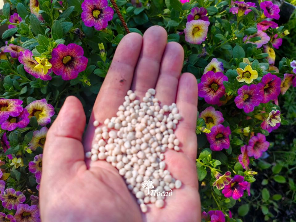 Как выбрать идеальное удобрение: Экофоска как альтернатива традиционным вариантам