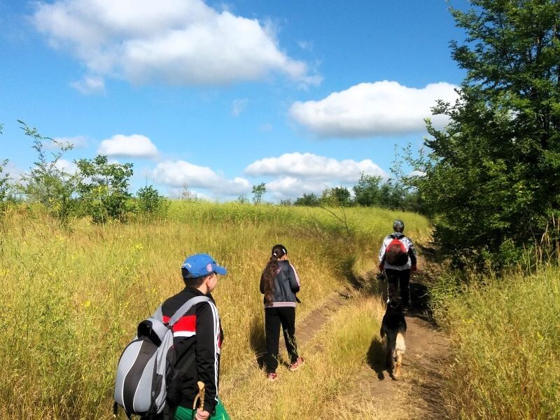 Грустный день пенсии: реальность бюджета и неожиданные расходы