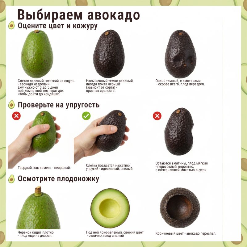 Как выбрать идеальное авокадо: секреты и советы для гурманов
