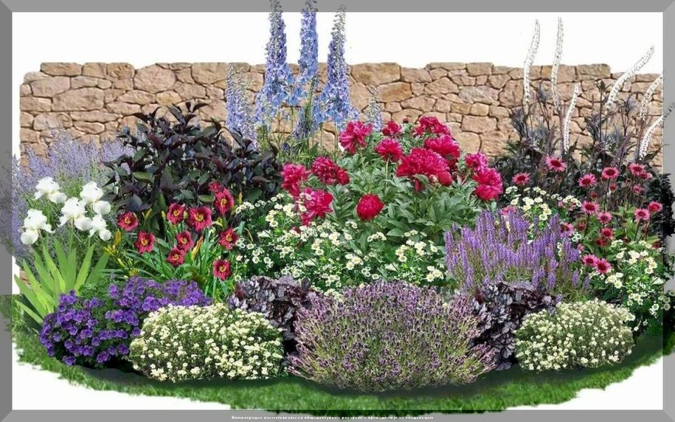 Долгожители цветочного мира: 10 многолетников, которые подарят радость на многие годы