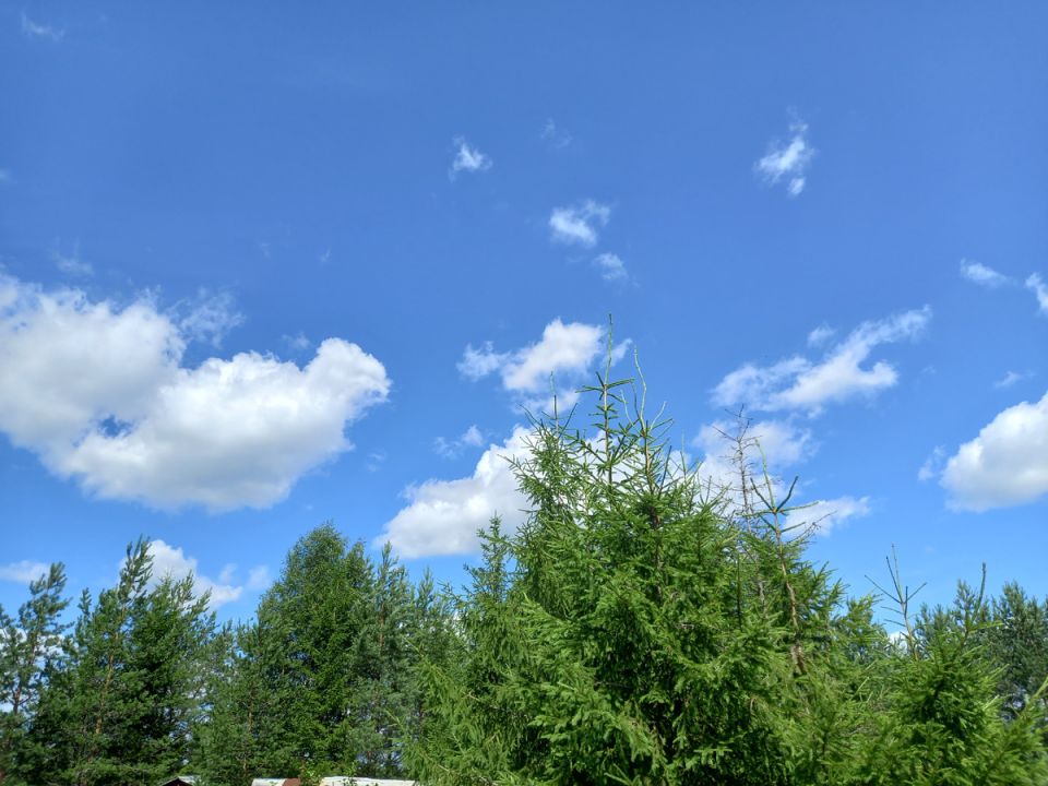 Как живут пенсионеры в деревне: уют, труд и природные радости