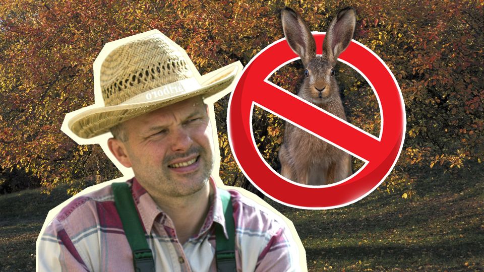 Защита от грызунов погубит плодовые деревья в саду: ее нельзя ставить раньше времени