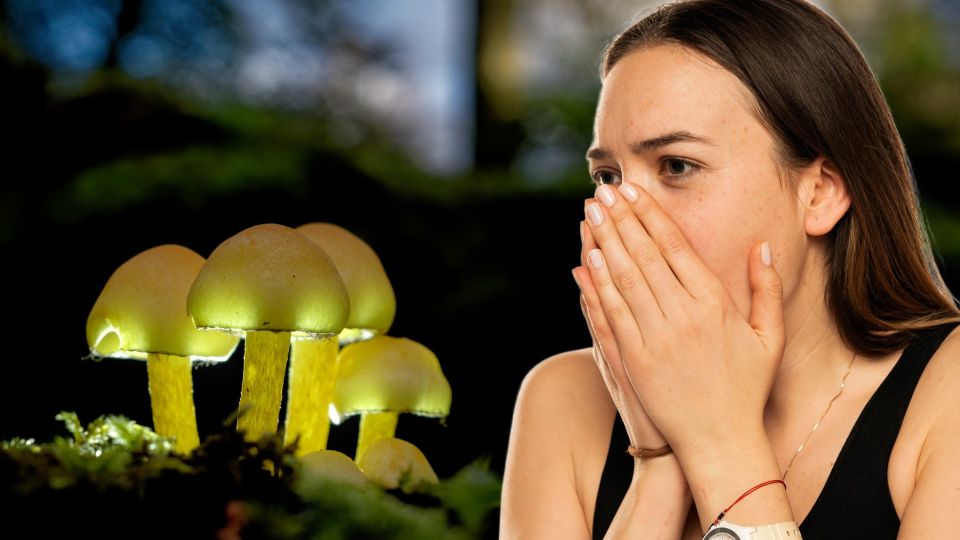 Отравители: продукты, в которых содержатся радиоактивные вещества