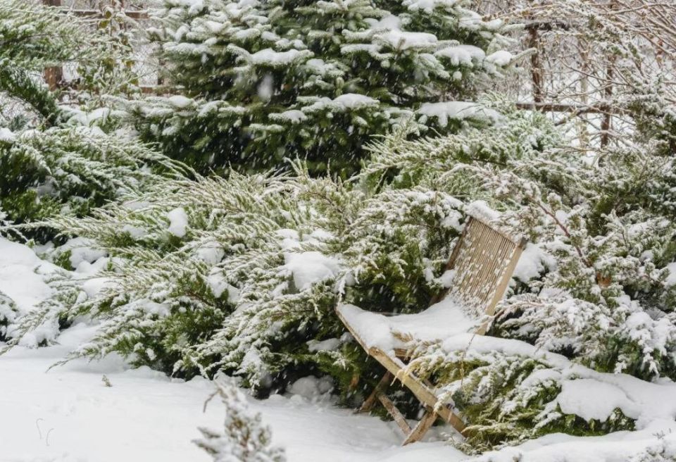 ������ ������� ������� �� ������ ������ �������? ������� �� ������� ���������