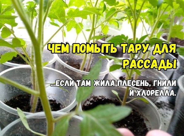 ��� ��������� ����������� �������: �������� ������ ������� � ������ �� ��������