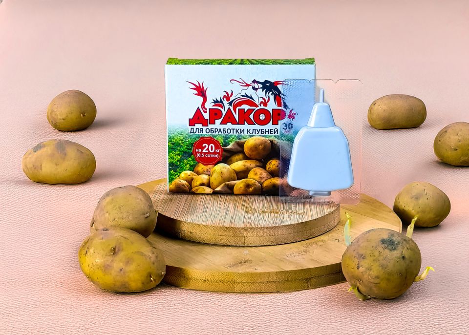 Тонкости защиты картофеля: эксперимент с препаратом 'Дракор' перед посадкой