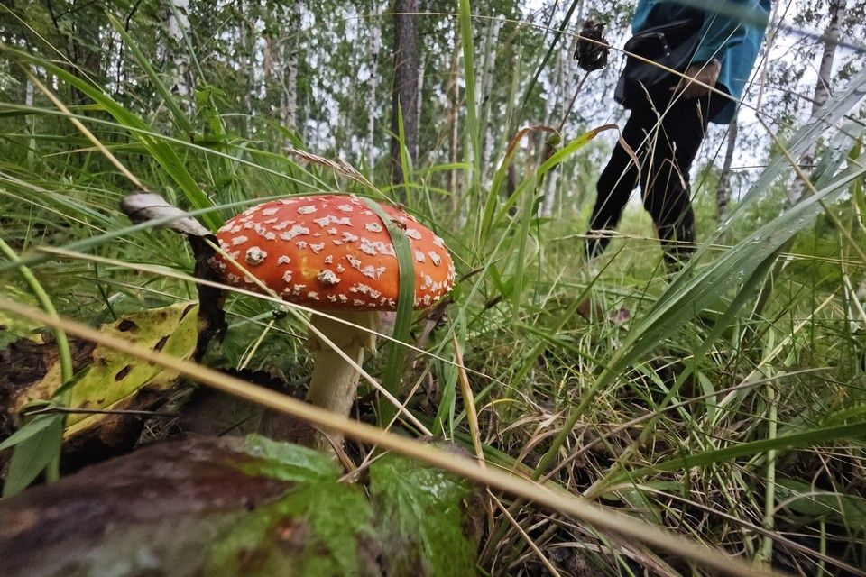 ��� ������� ��������� ������ ������ ������������� ��������� ����� ������