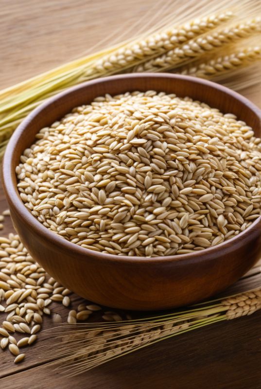 Ячневая крупа: возвращение древнего злака в современный рацион