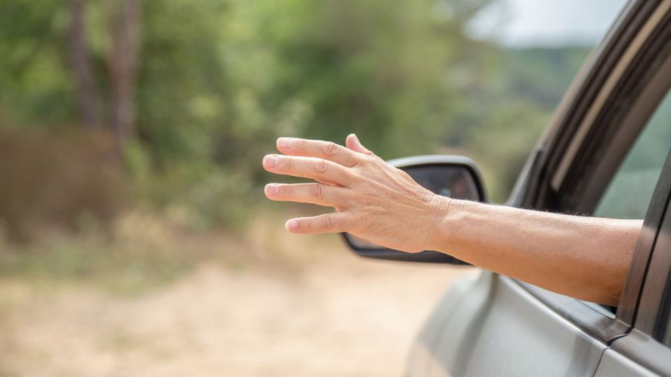 Жесты на дороге: что означает поднятая ладонь с пятью пальцами?