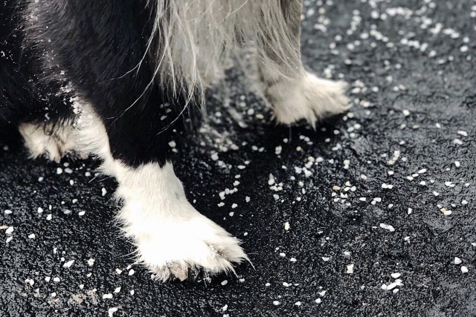 ���������� ����������������� ��������: ��� �������� �������� ��������?