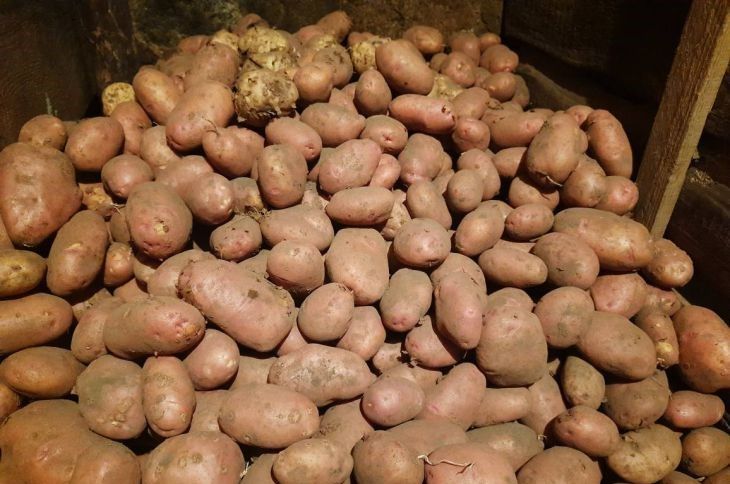 ������� ��������� ��� � ������ ��� ������: �� ������� ������� ��������