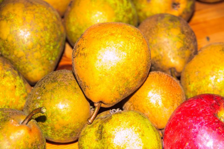 ���������������� ����� � �����: ���������� �������� - ������� �� �� ��������� ������