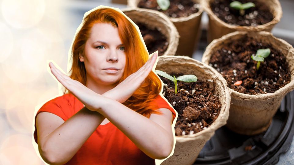 �������� ��� �������� ��������: ��� � ��� ������� ������ ����� �����