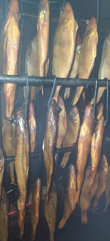 �������� �������� �����: ���������� ������ �� ������ ����