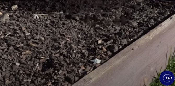 ����� ���������� ������� ������: ������� �������