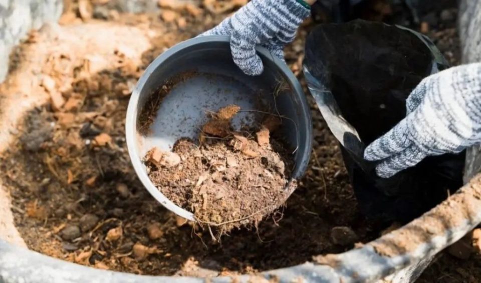 ������ ���� �� ���������: ������� ���������� ����������