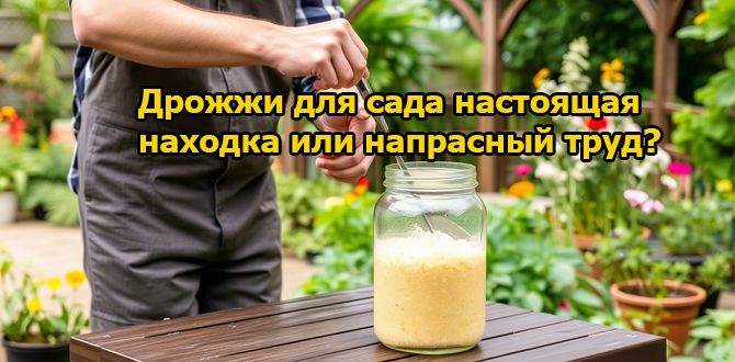 ������ � ����: ���� � ���������� �� ���� � ���������