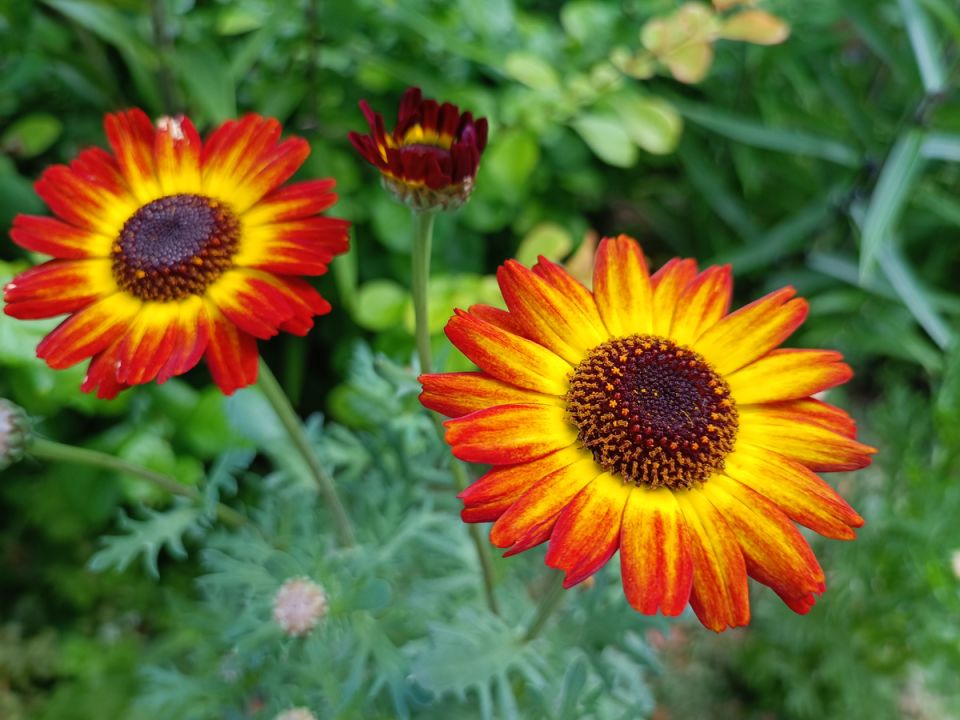 ������� �������� ������: ��� ����� ������������ ����������� ��������