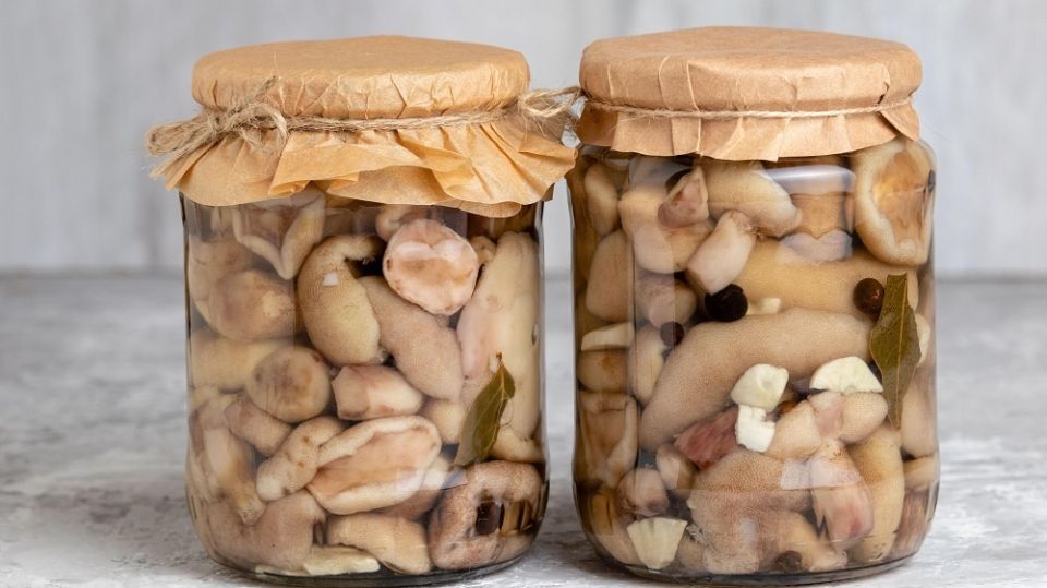 ��������� ������� ������: ��� ��������� ������ ������� �� ����