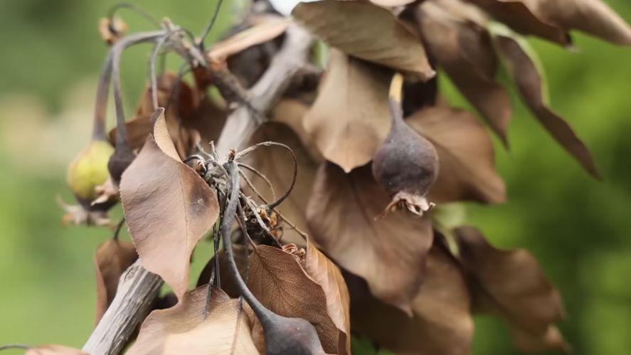 ��� � ���� ���� ���: �������� �������� � ������� �������� �����