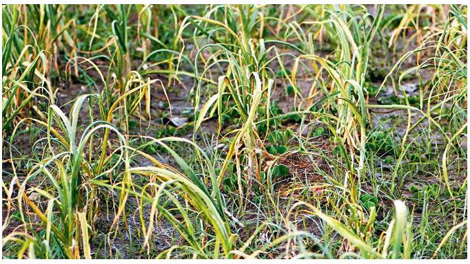 ��� ���������� ���� ������ ������ ������� � �����������?