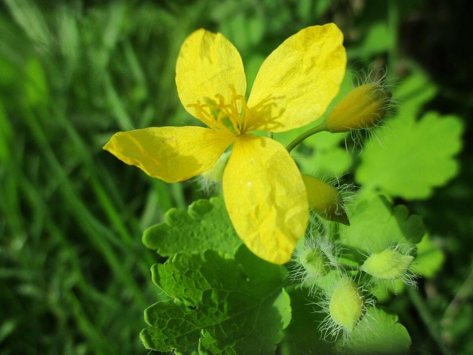 ��������� ������� ������ ��� �� ���������: ������ ��������� �� 30 �����