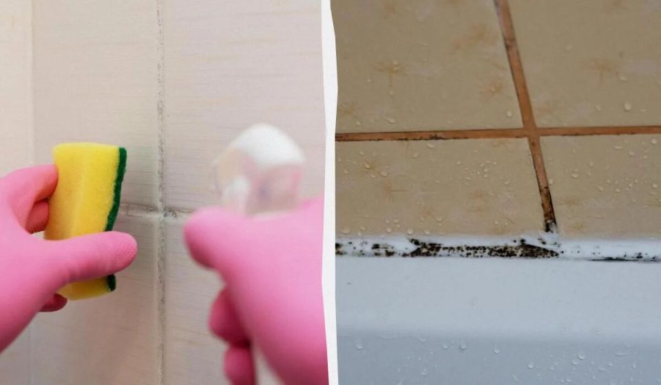 Чистота ванной комнаты: эффективные методы удаления грибка и грязи с плитки