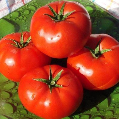 ����� ������� ��������: ������� ����� � ������������� ������ � �������