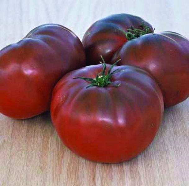 Томат Блэк Джон: шоколадные плоды с насыщенным вкусом и универсальным применением