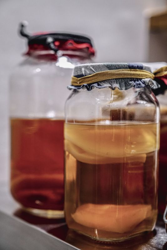 Чайный гриб как спокойное решение для обмена веществ и веса