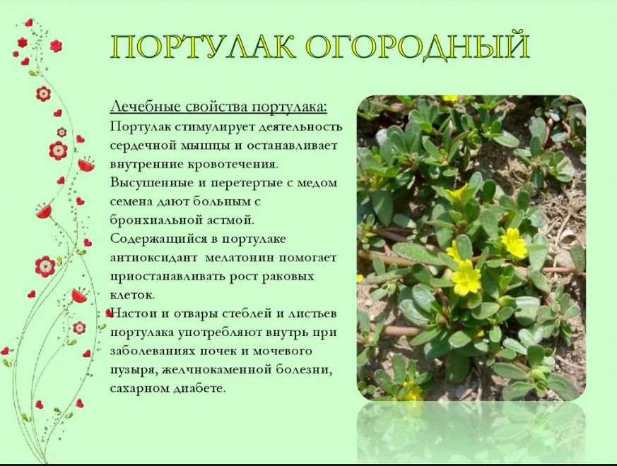 �������� �� �������: ��� ���������� ������� � ����������� ��������