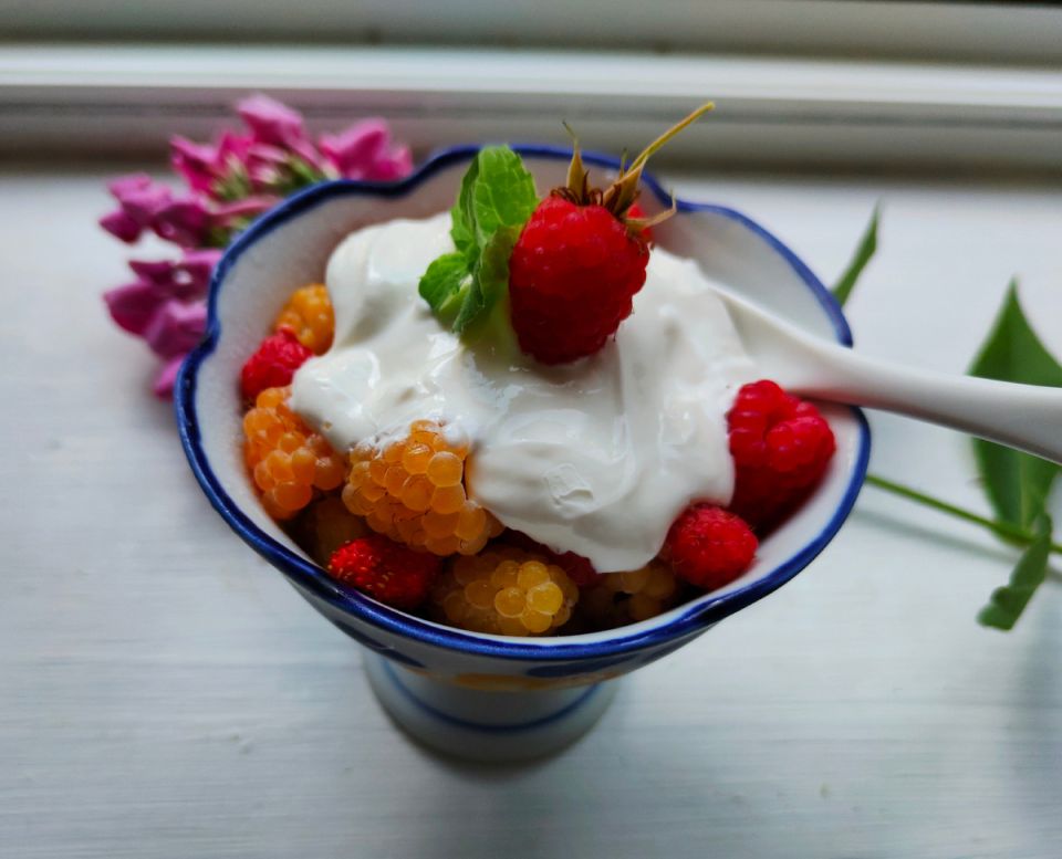 ������ ������ � ������� � �������: ������� ��������� �� ������ �����