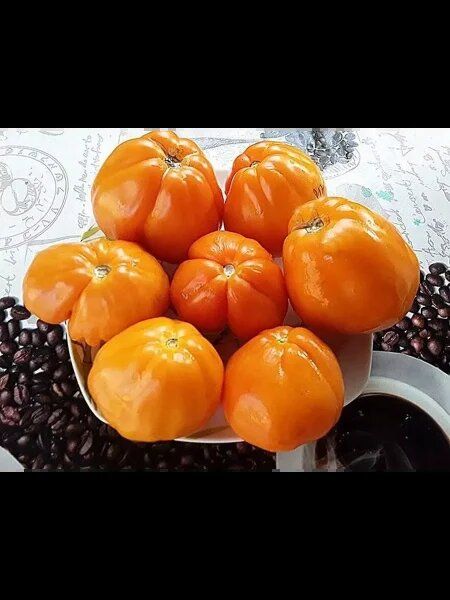 ������ ��������: ������� ��������� ����� � ����� ������� � ���������� ����������