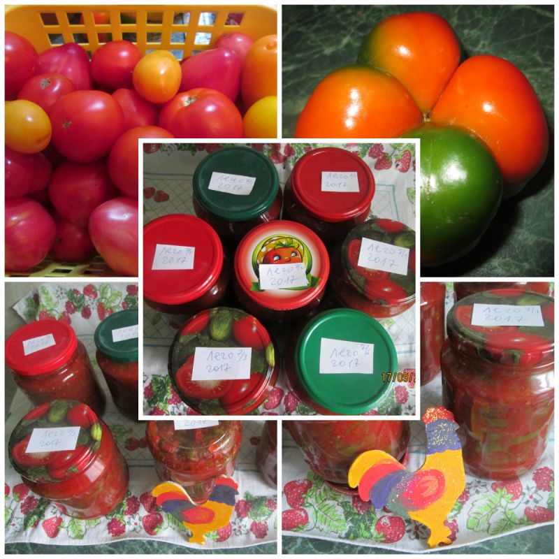 ������� ���������� ����: ��� ��������� ������ ����� � ����������� ������