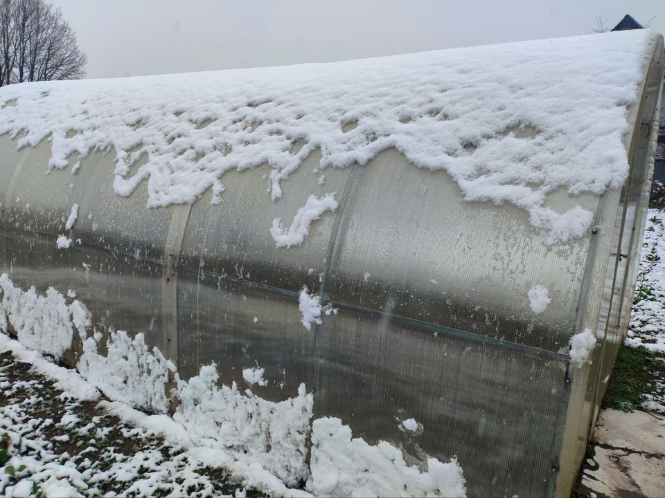 ��� ����������� ������� � ����: �������� ������ ��� ��������