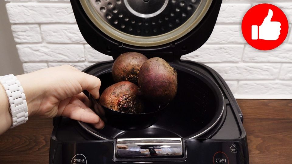 ������ ���������� �����: ������ � ������ � ������������