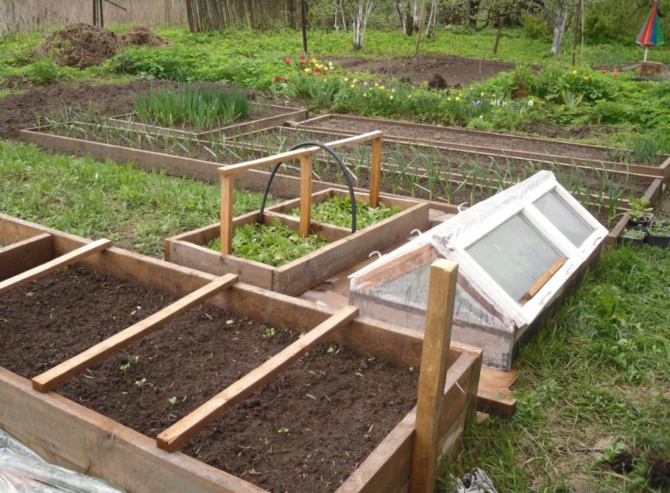 ���������� ��� ������: ��� ������� ������ � ������������ ������